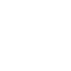 Customization Service Advantage
