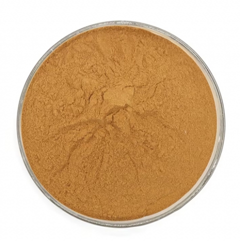 Honeysuckle Extract
