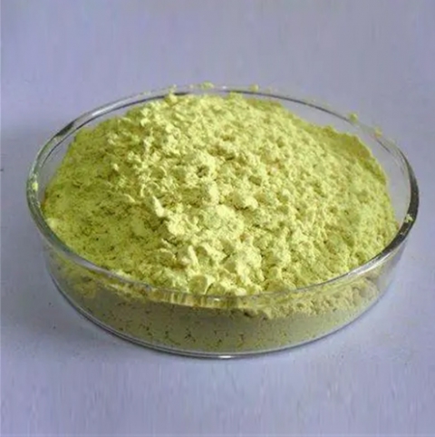 Sophora Japonica Extract