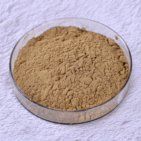 Epimedium Extract