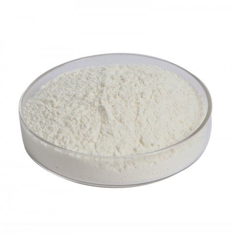 Fermentation-Special Soybean Protein Powder