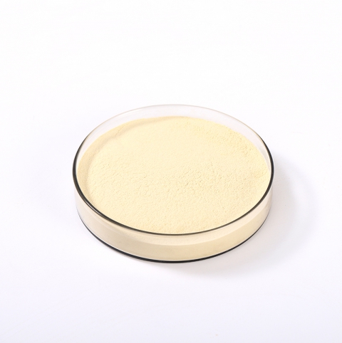 Ginseng Extract