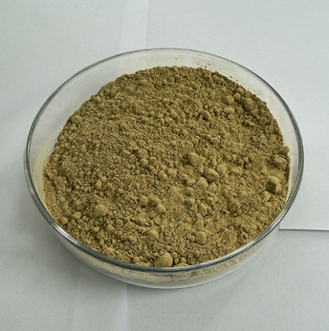 Fermentation-Special Cottonseed Meal
