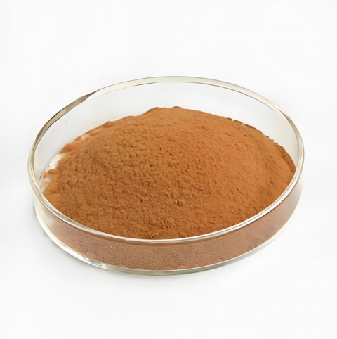 Rhodiola Rosea Extract