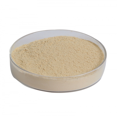 Fermentation-Special Soybean Meal Powder