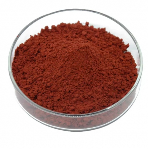Pine Bark Extract
