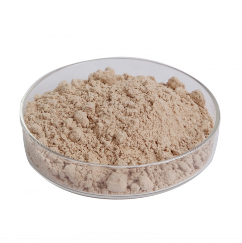 Fermentation-Special Peanut Protein Powder
