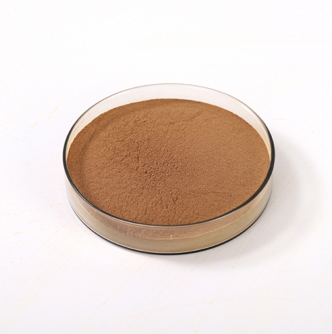 Ginkgo Biloba Leaf Extract