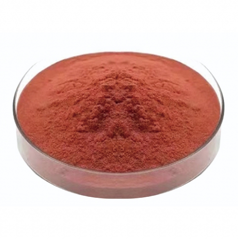 Peanut Skin Extract
