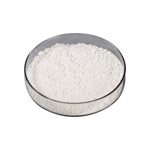 Garlic Extract