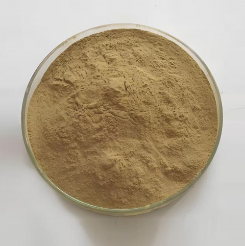 Milk Thistle Extract