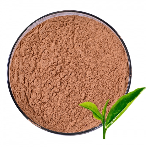 Green Tea Extract