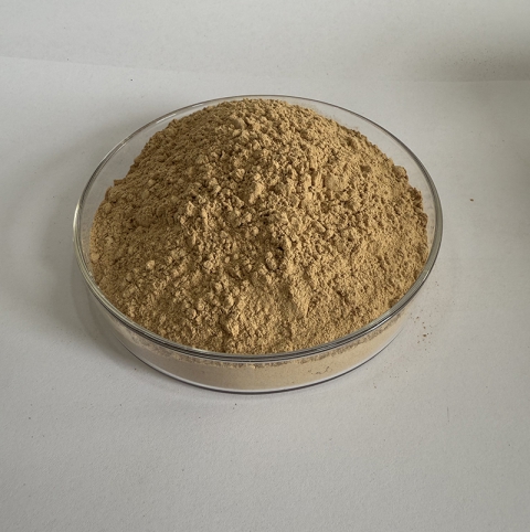 Fermentation-Special Peanut Meal Powder